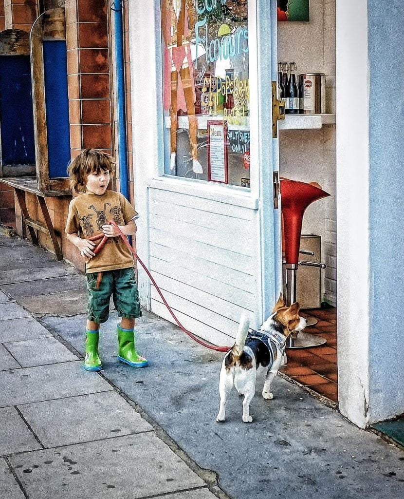 Dierenwinkel in Haarlem